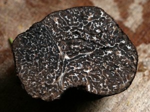 le gite les princes et le gite le ventoux permettent de manger de la truffe dans la drome