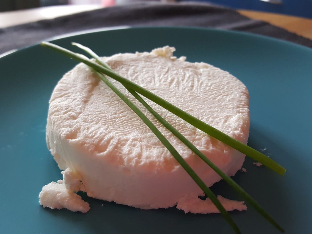 picodon fromage chevre drome
