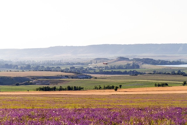 Les routes de la lavande