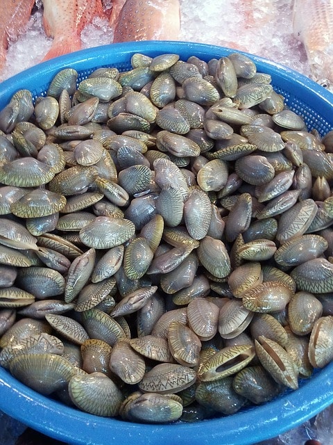 Marché des tellines en Provence