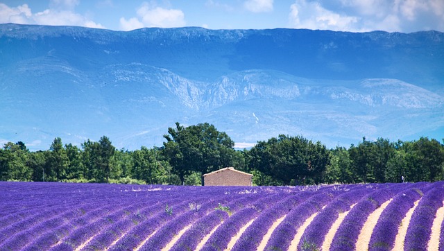Découverte de la Drôme