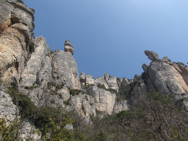Mont Gerbier-de-Jonc