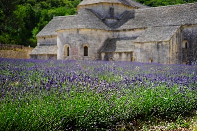 champ de lavande montélimar